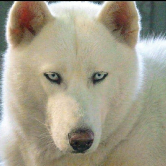 Meet your Posher, Michele π - Picture 1 of 16